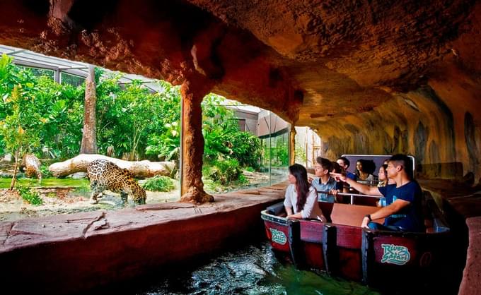 Singapore River Safari