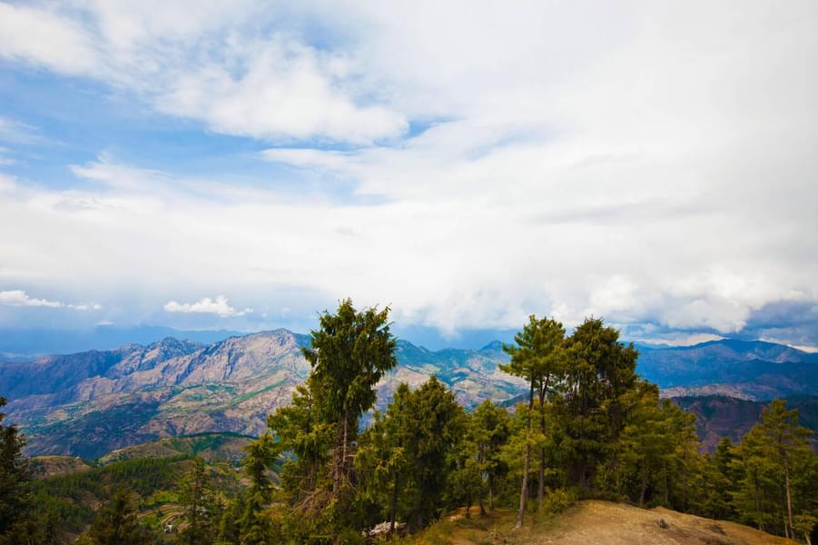 Shimla to Kufri Day Trip Image