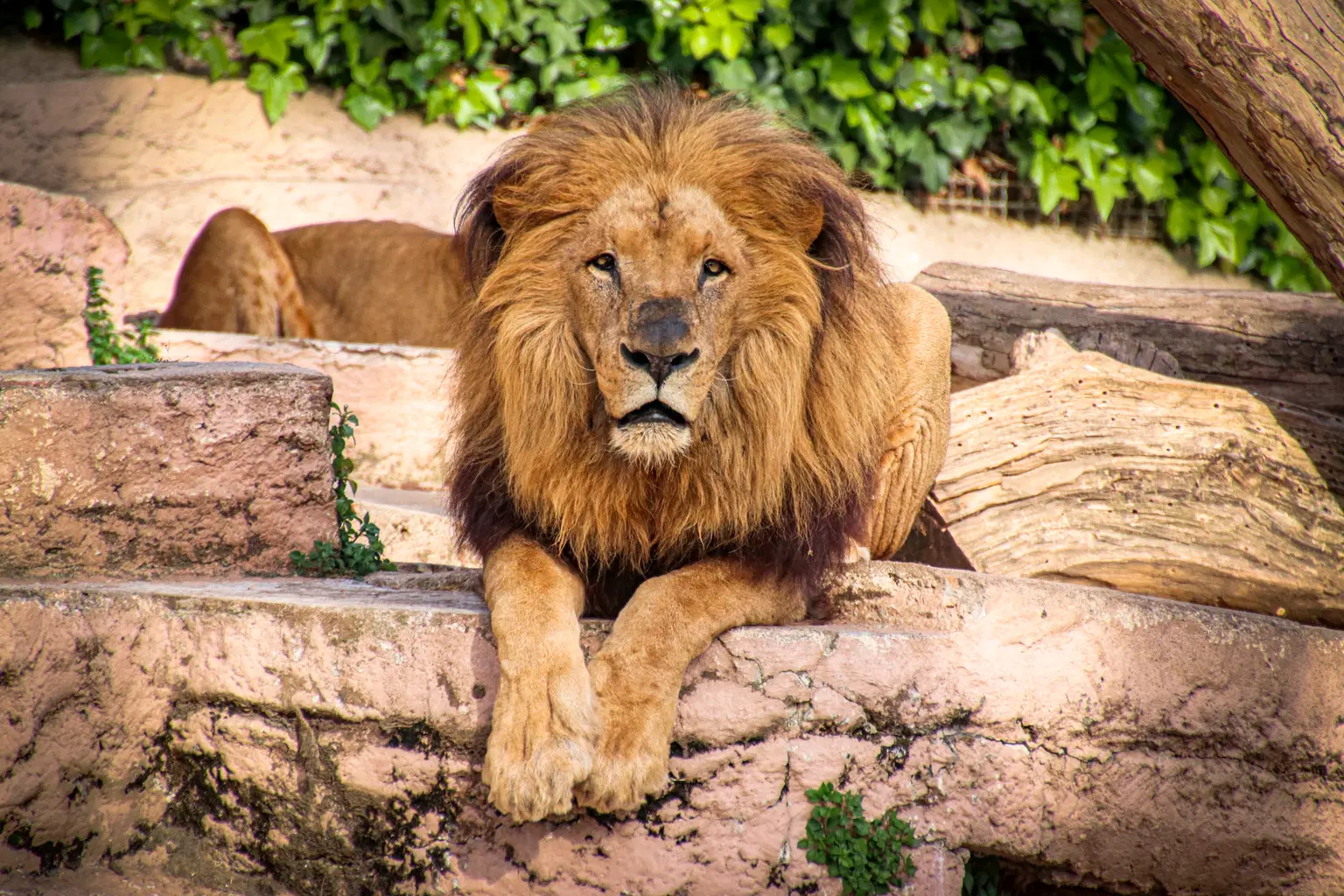 Barcelona Zoo