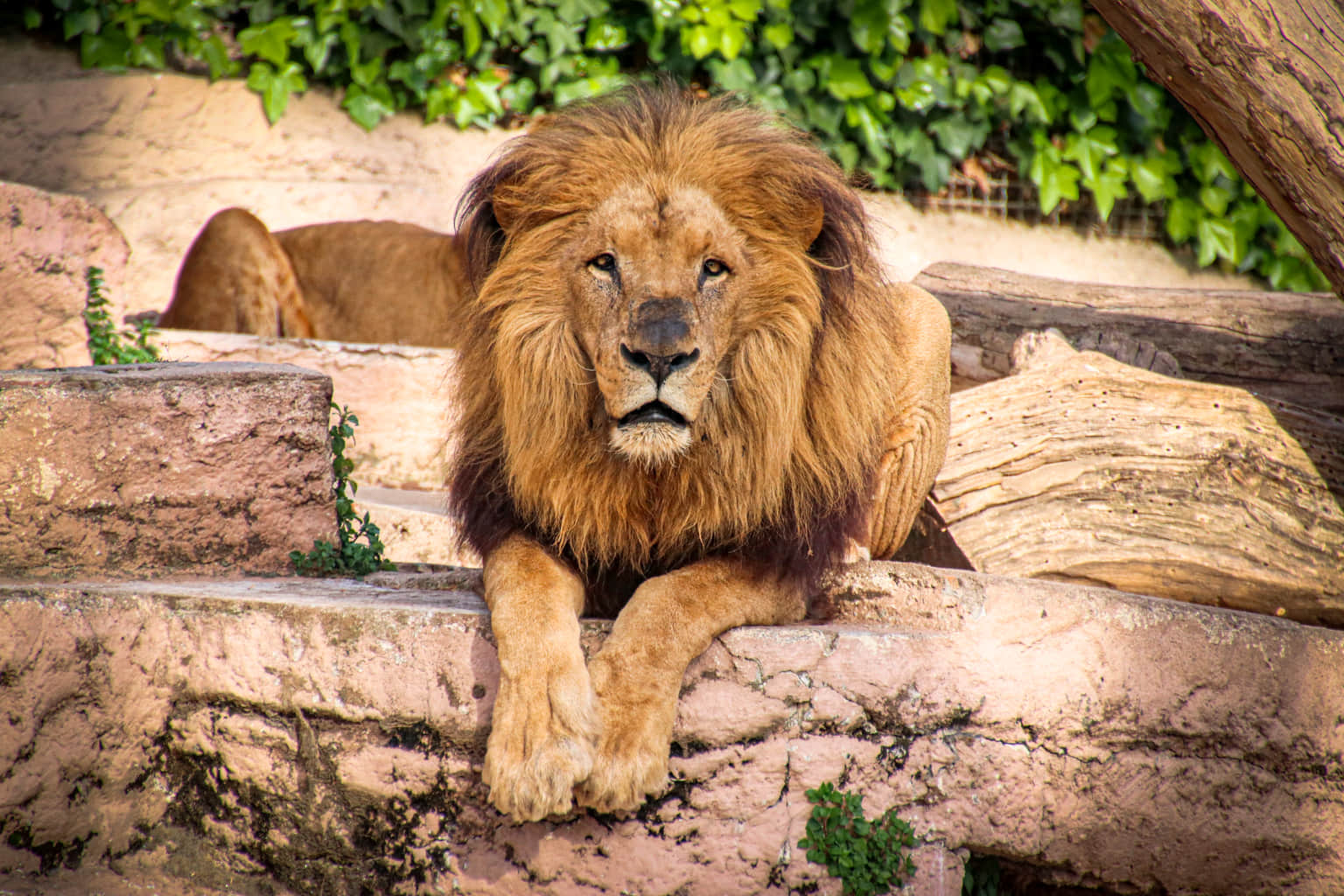 Barcelona Zoo, <em>Barcelona</em>