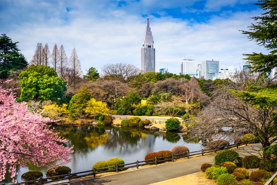 Mount Fuji and Hakone 1 Day Tour From Tokyo Image