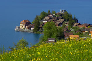 Gy74fm2wi7e9xf1ra2ajgkjgmyny 5372851439 a6b3cd166b b