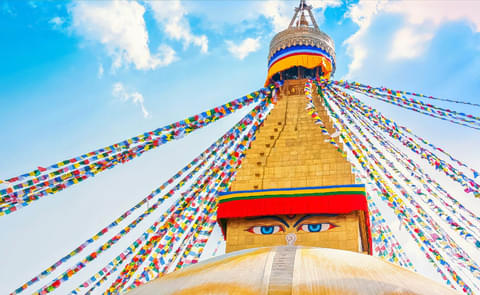 Activity & SightSeeing Image