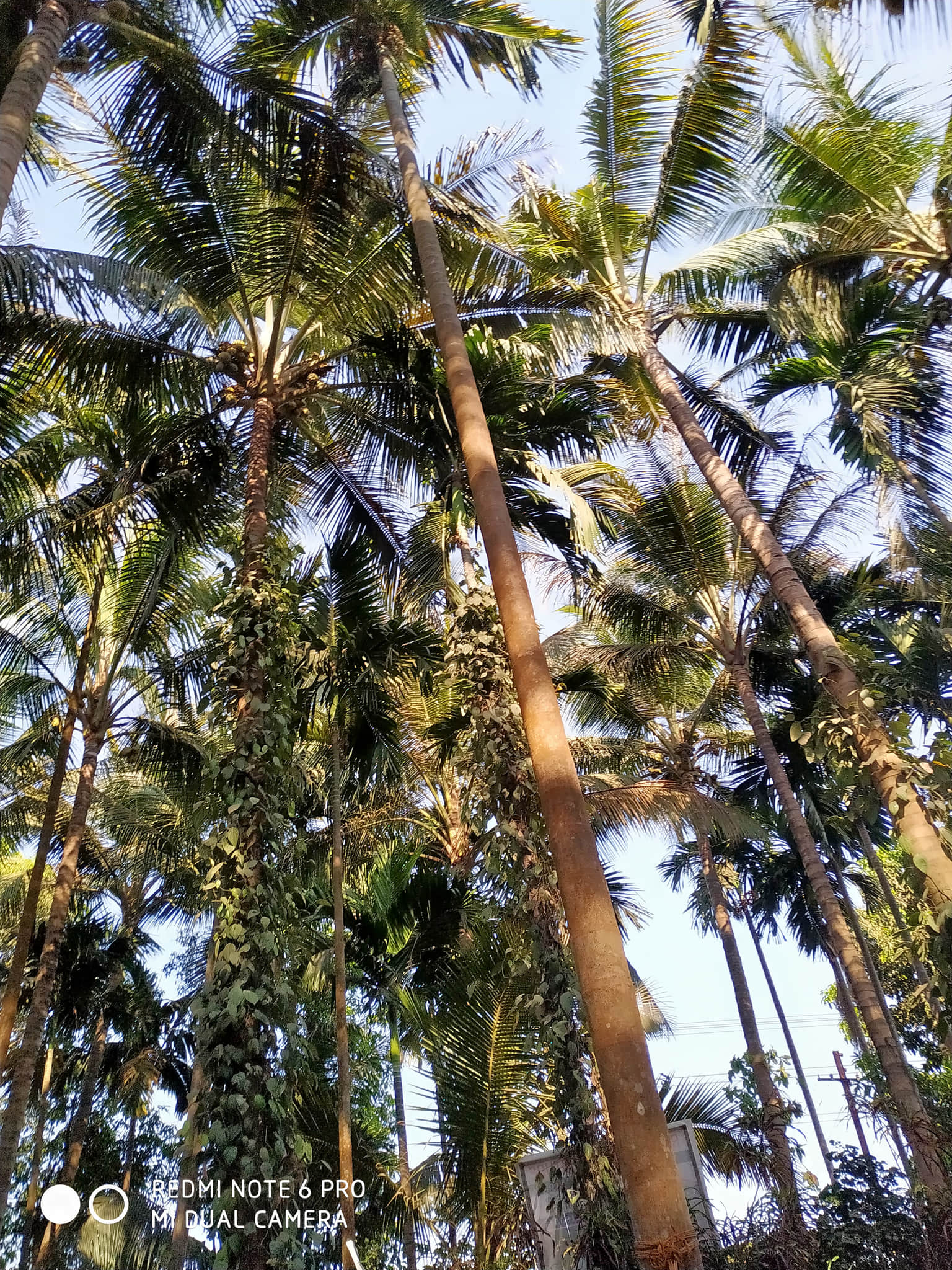 Photo from saurabh singh's trip