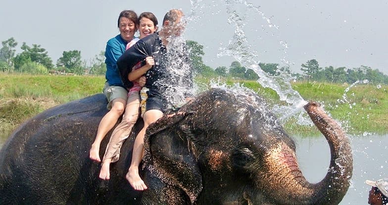 Jungle Safari At Chitwan National Park In Nepal Image