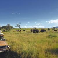 best-of-kenya-with-maasai-mara-serengeti-national-park