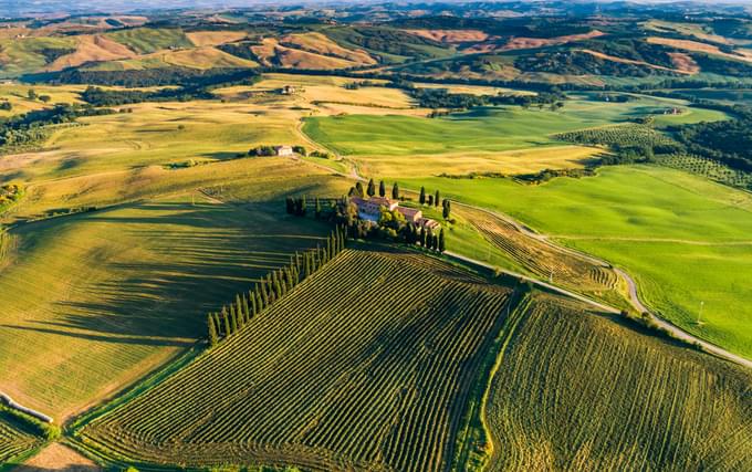 Tuscan Countryside