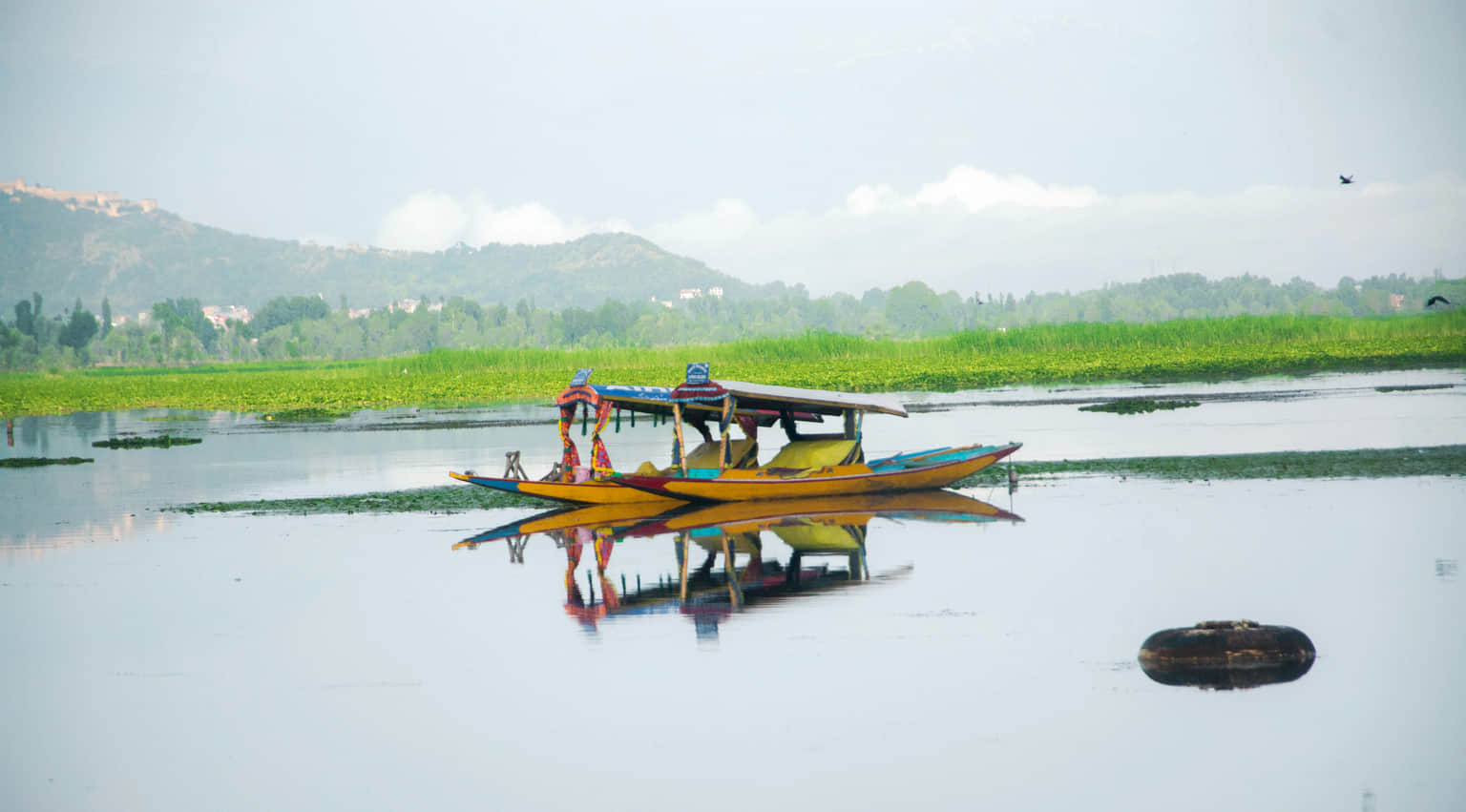 Photo from Shrikant Gai's trip