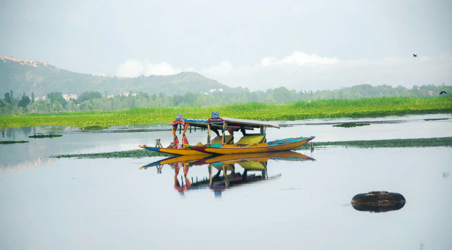 Photo from Shrikant Gai's trip