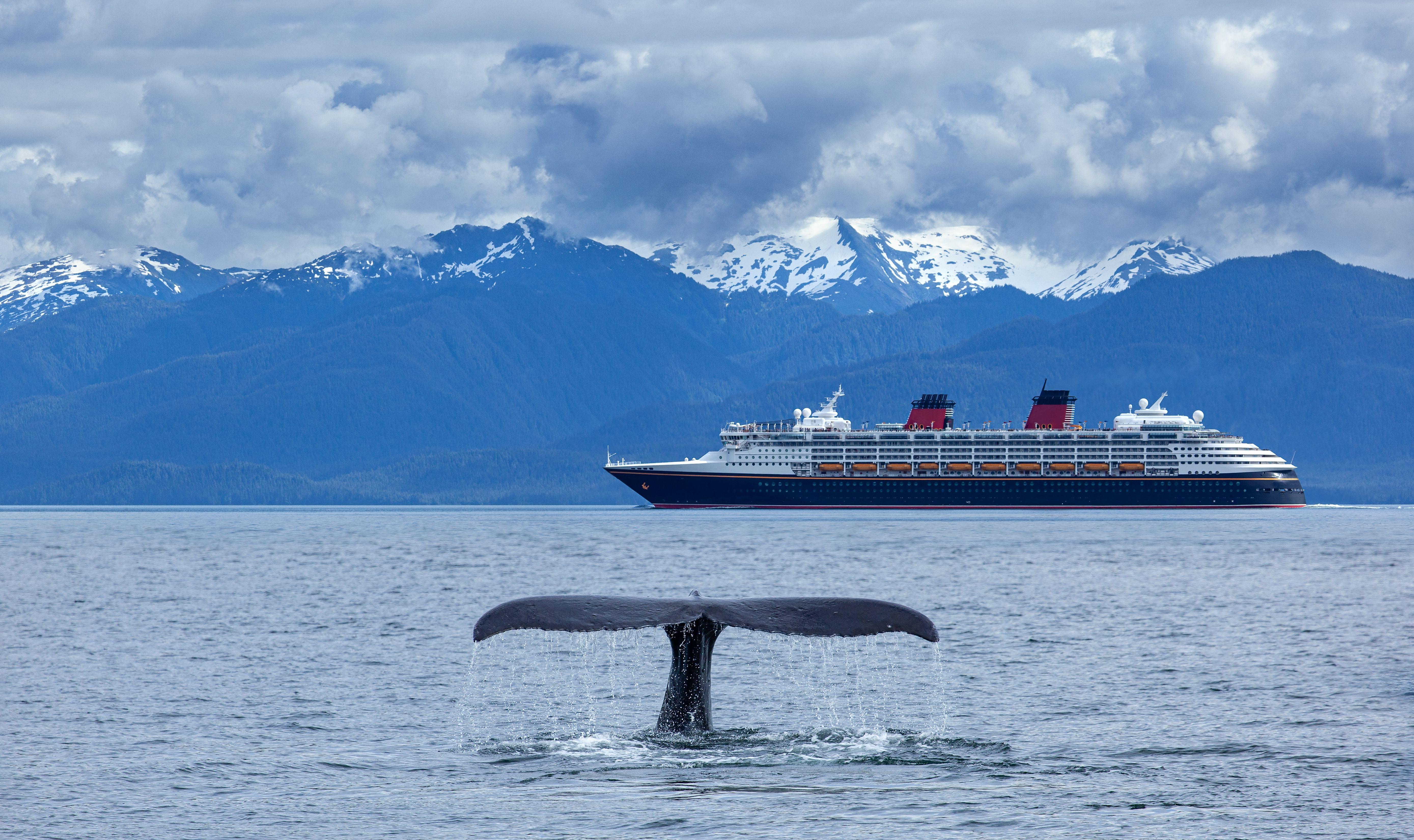 Ocean Adventurer