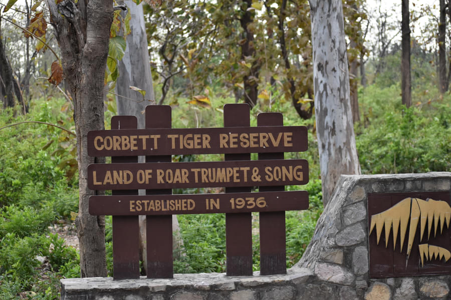 Jim Corbett Weekend Tour from Delhi Image