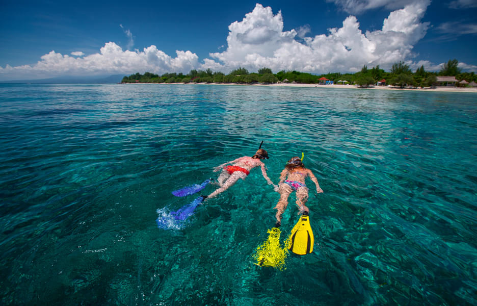 Snorkeling in Gili Island Image