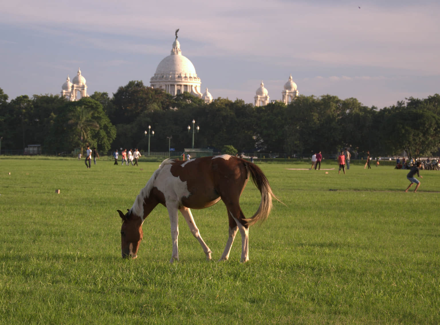 Maidan, <em>Kolkata</em>