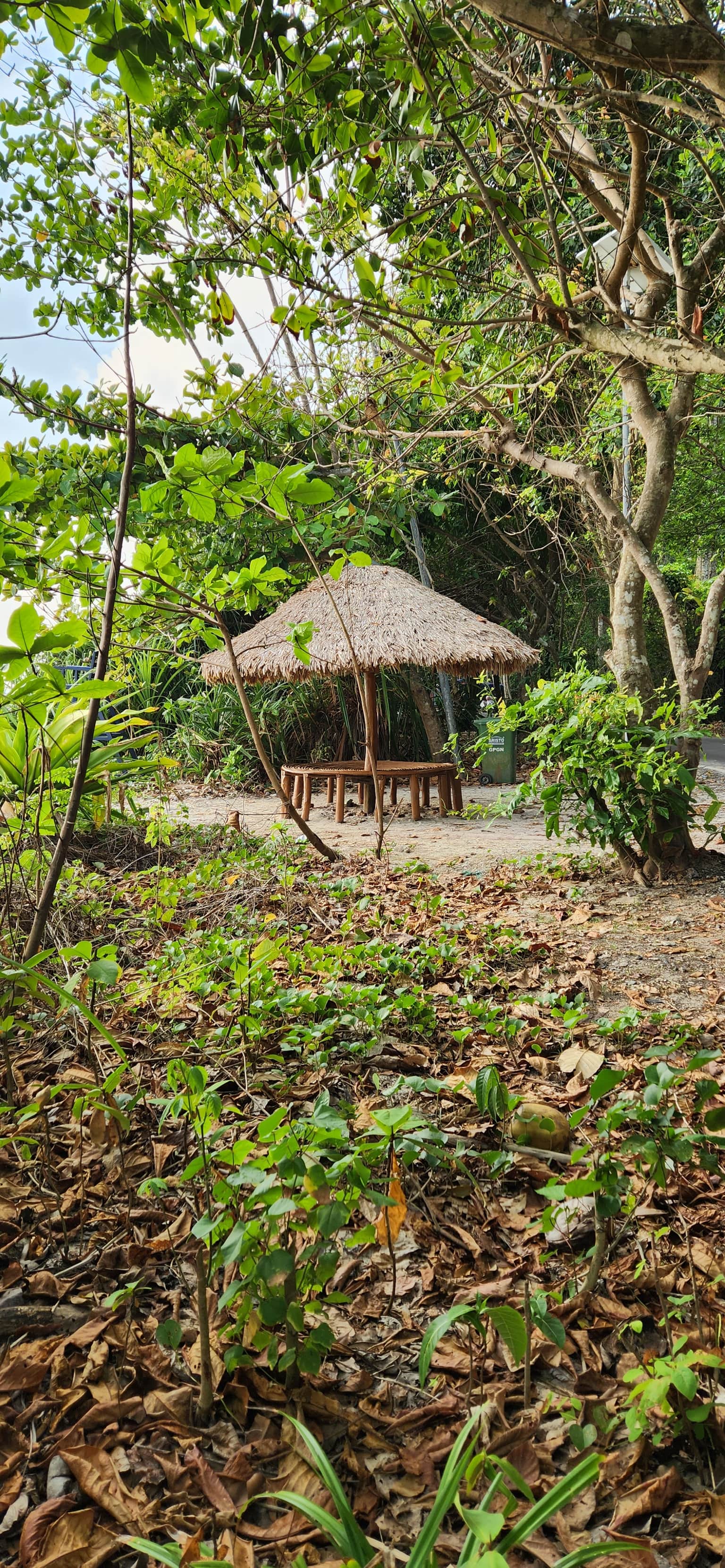 Photo from S. Mugilvanan's trip