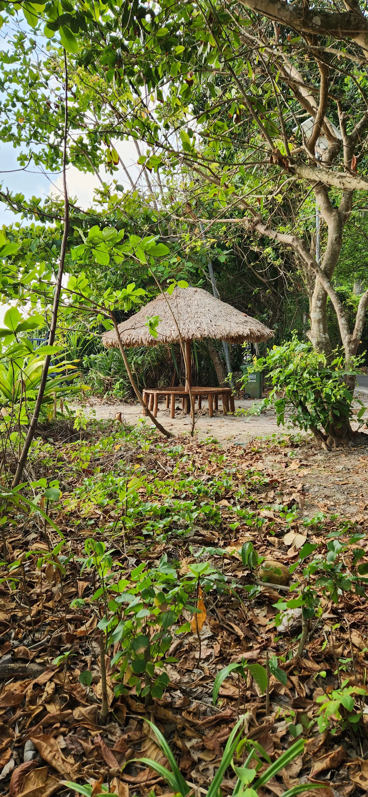 Photo from S. Mugilvanan's trip