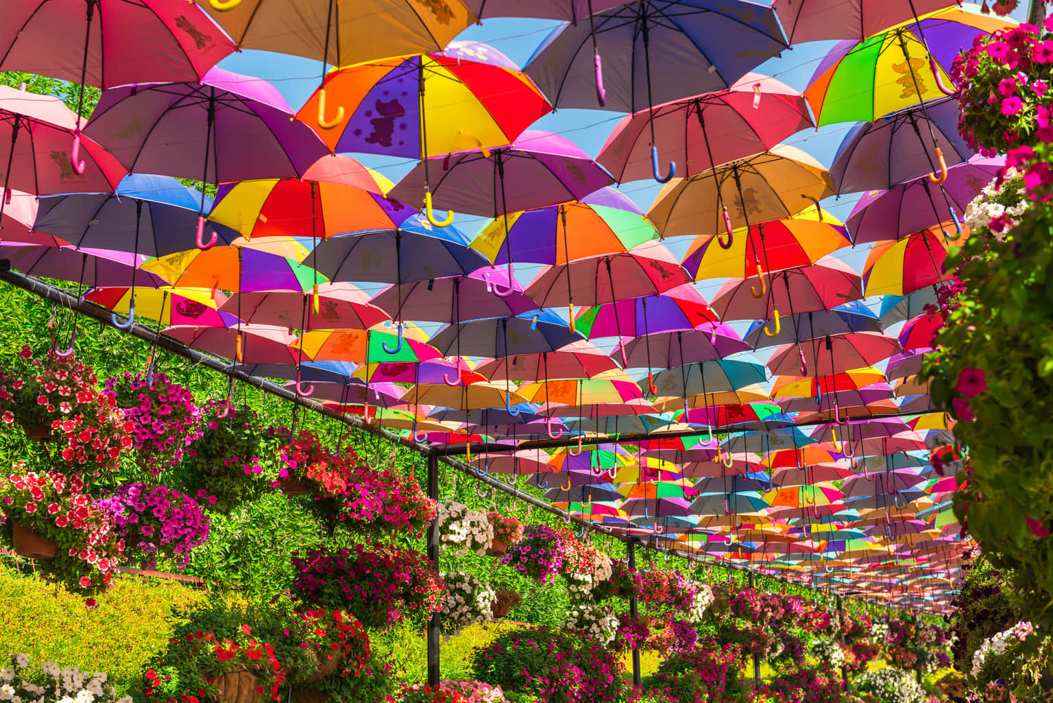 Umbrella Tunnel