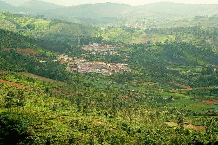 Rangaswamy Pillar Trek, Ooty Image