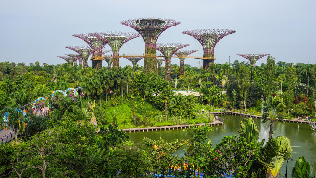 Adore the striking beauty of Gardens By The Bay