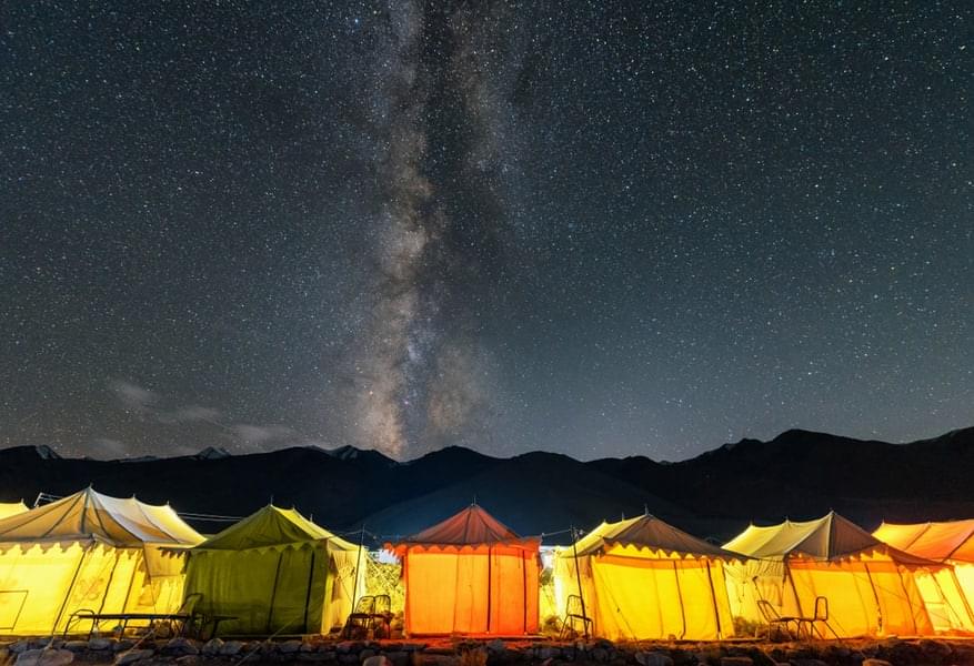 Marvel at the sight of captivating stars while relaxing in the night camps