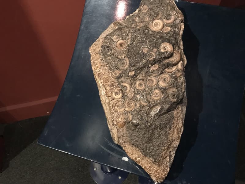 Sharjah Desert Park Image