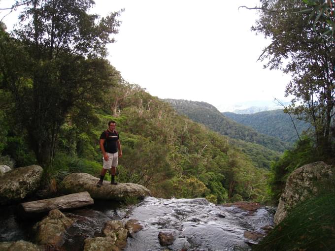 Springbrook National Park Tour