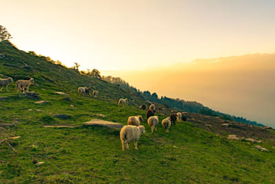 Kheerganga Trek Day 3