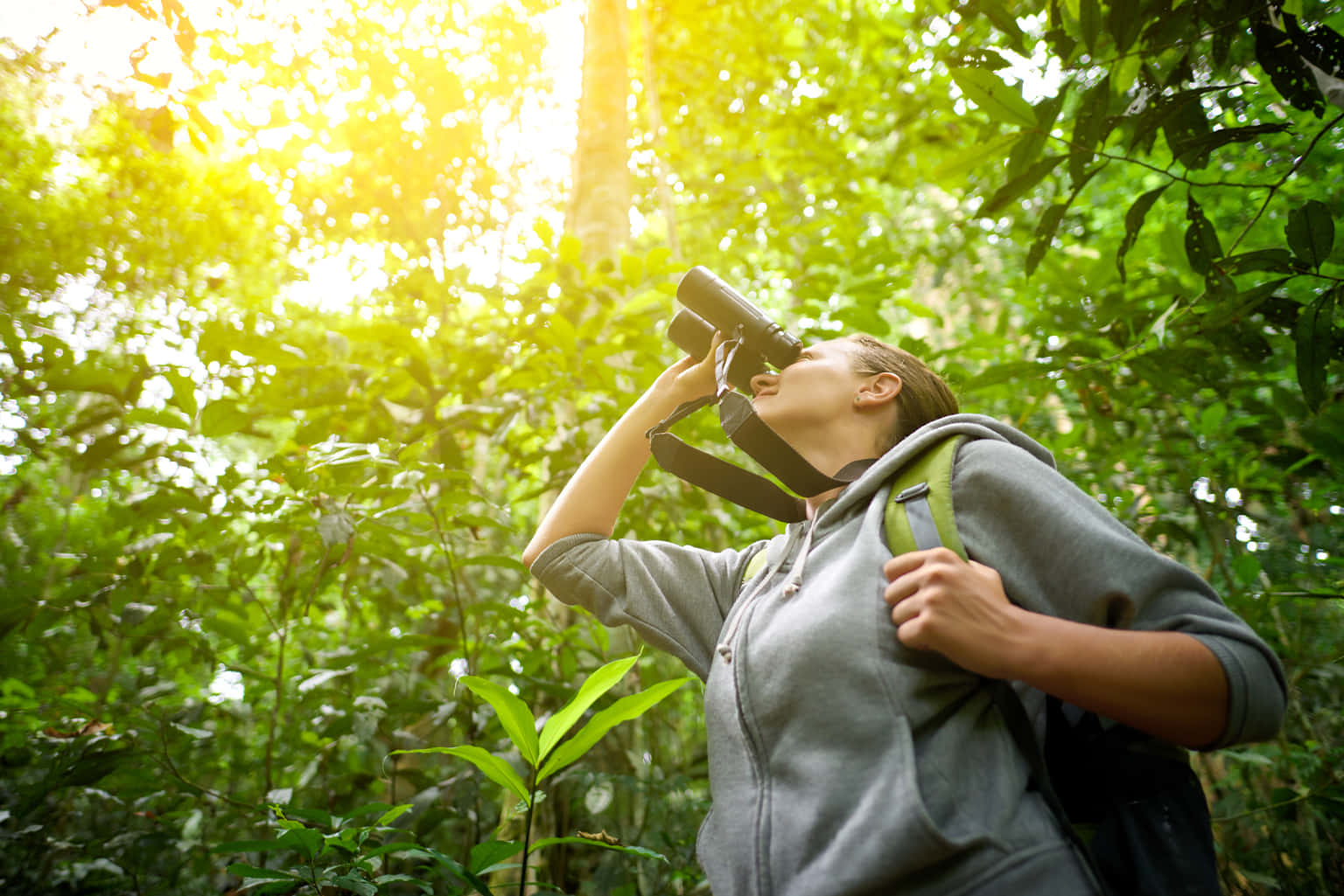 Bird Watching In Mudumalai