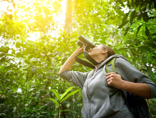 Embark on this fun bird watching tour