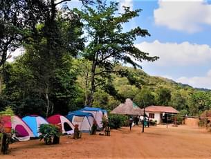 Camping In Sakleshpur