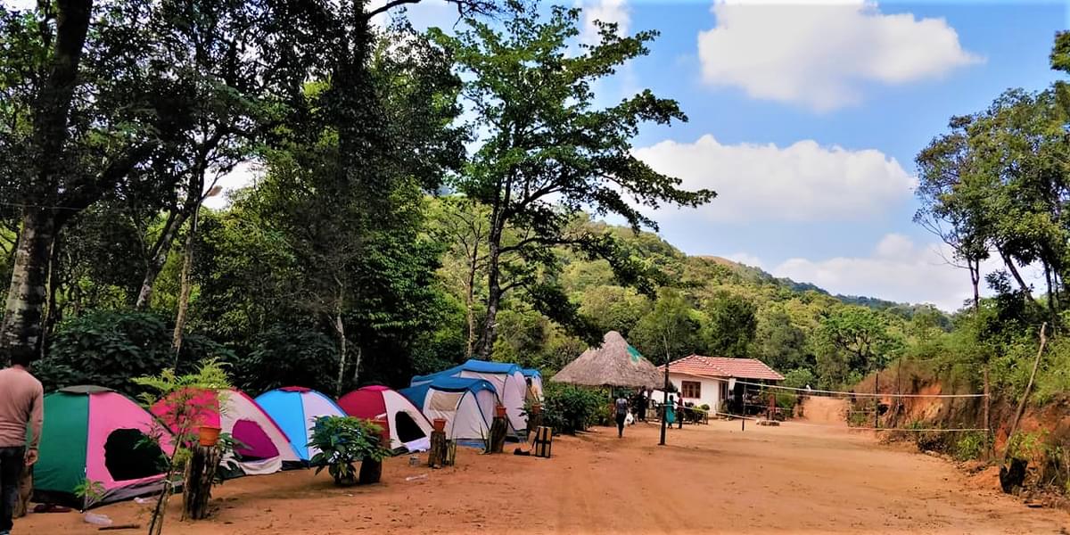 Camping in Sakleshpur Image