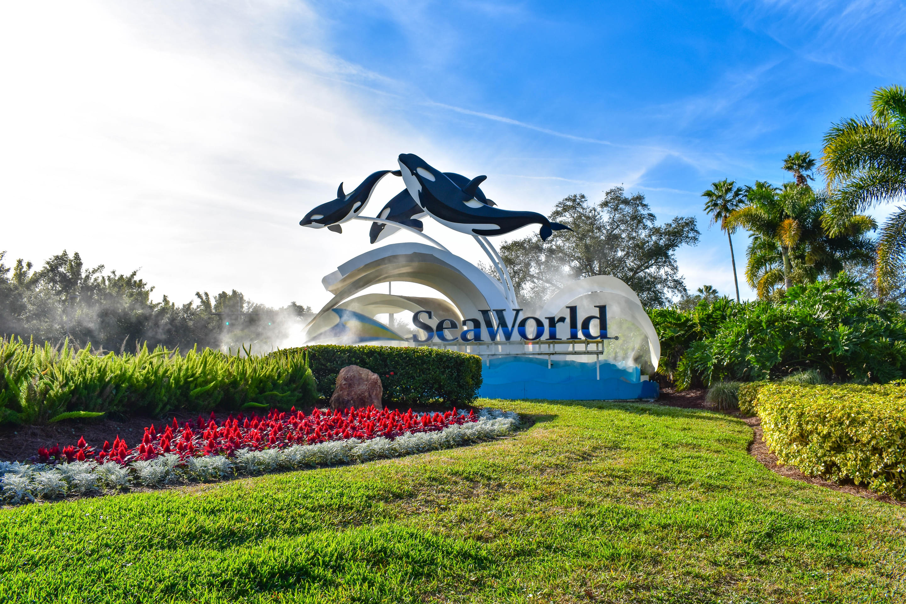 SeaWorld Orlando Overview