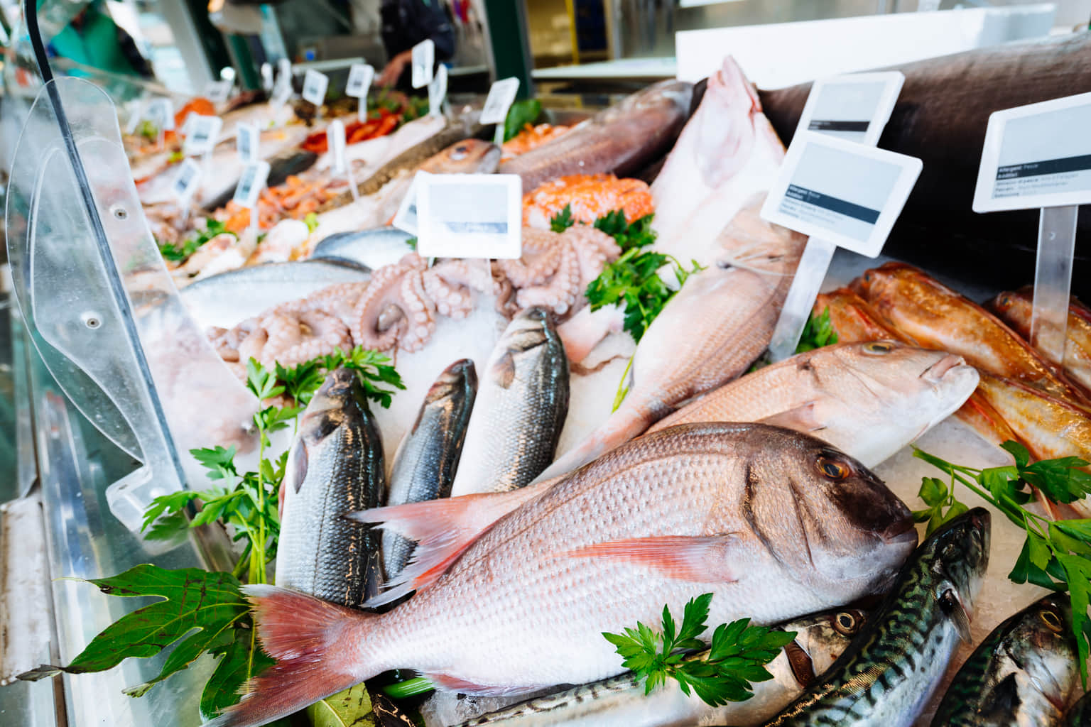Fish & Seafood