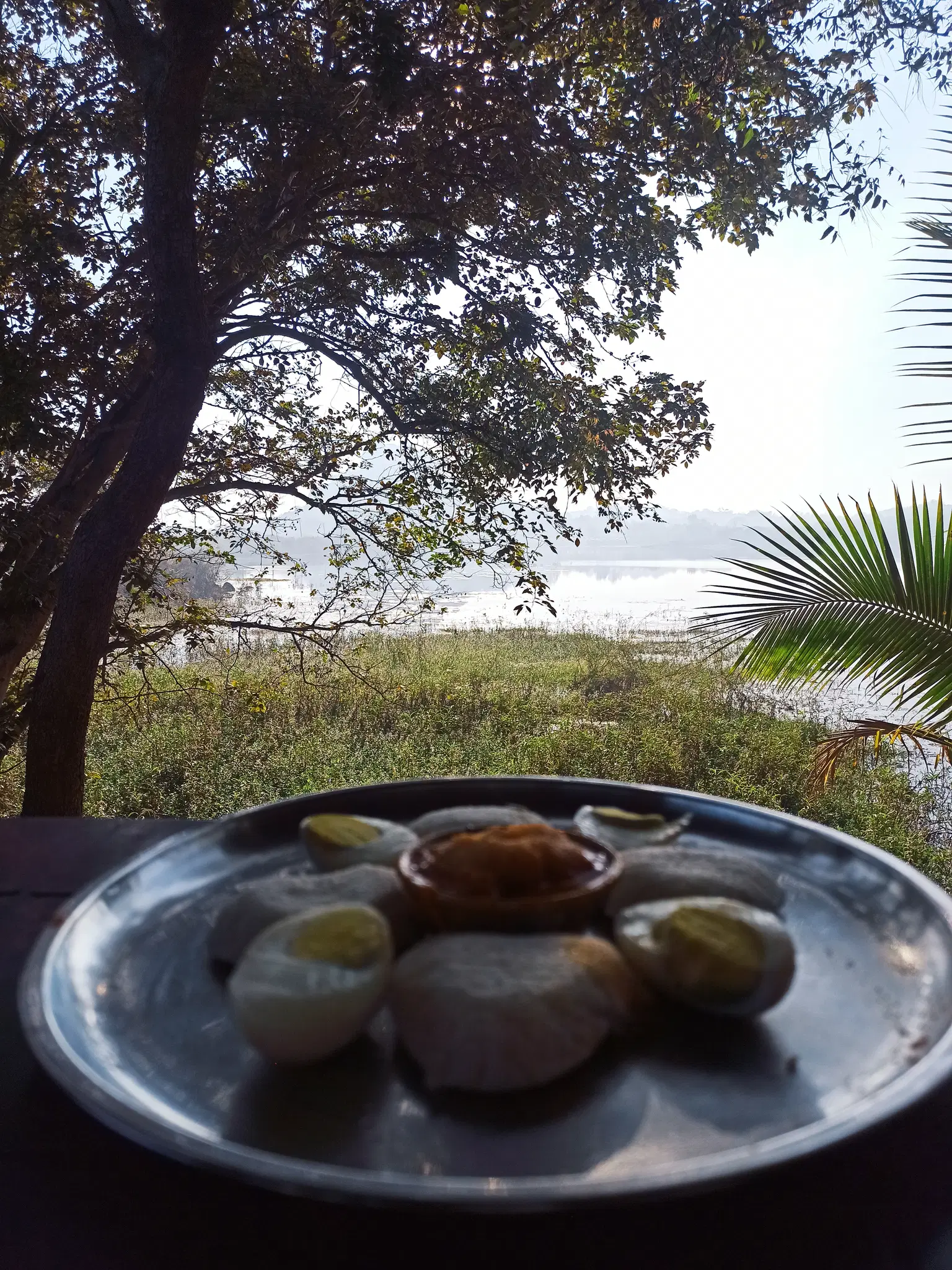 Photo from monali 's trip