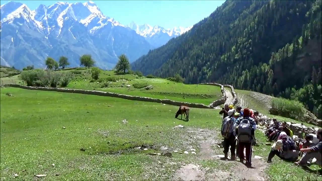 Photo from Daevika Somayaji's trip
