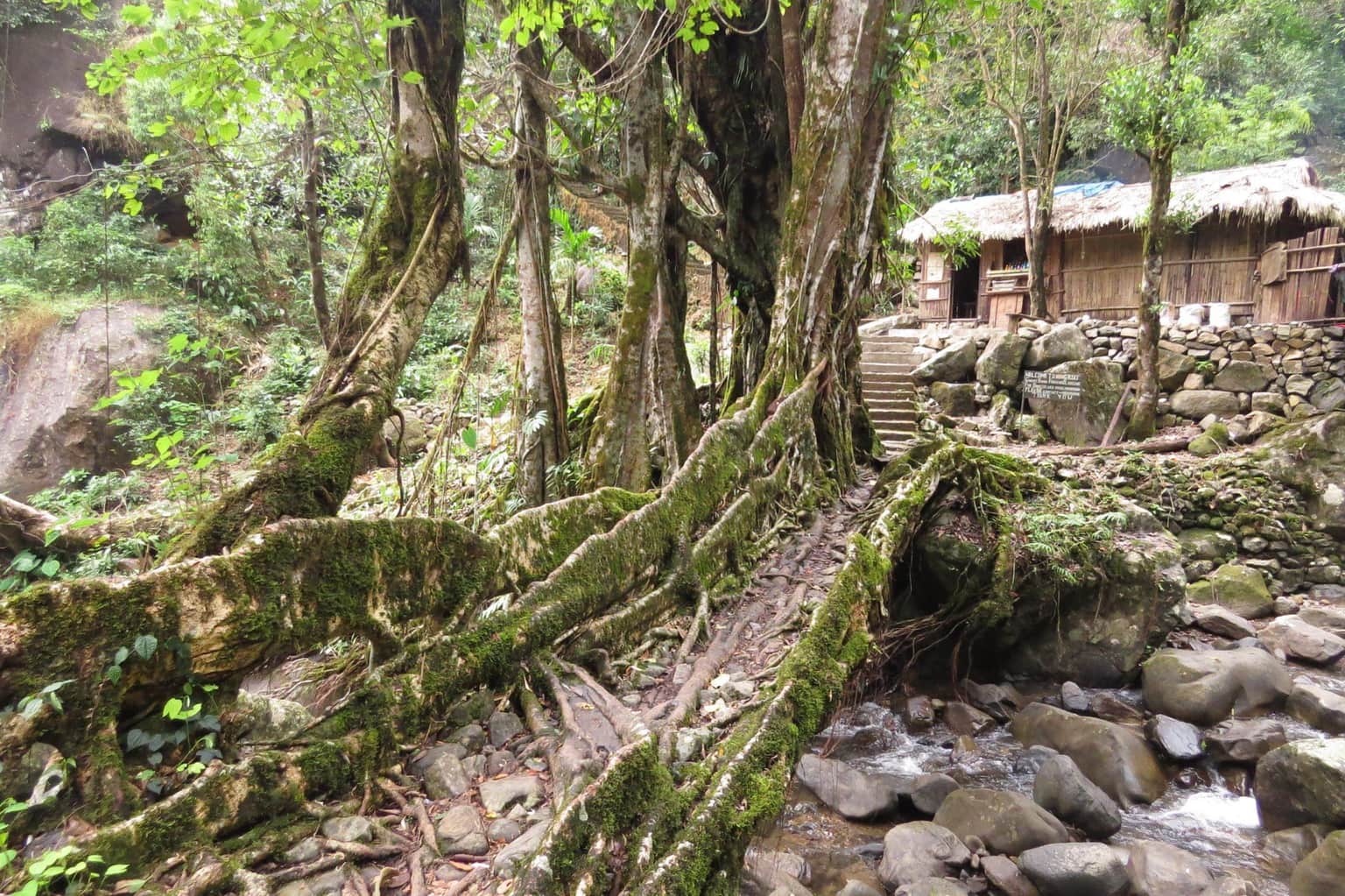 Visit Nongriat Village