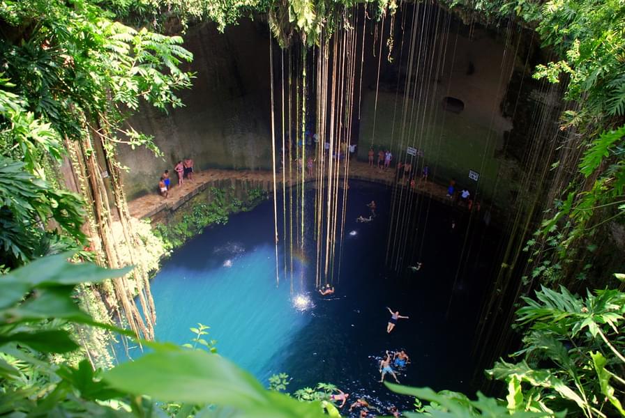 Cenote Swimming