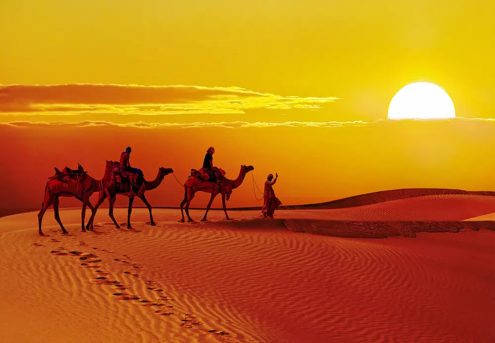  Sam Sand Dunes 