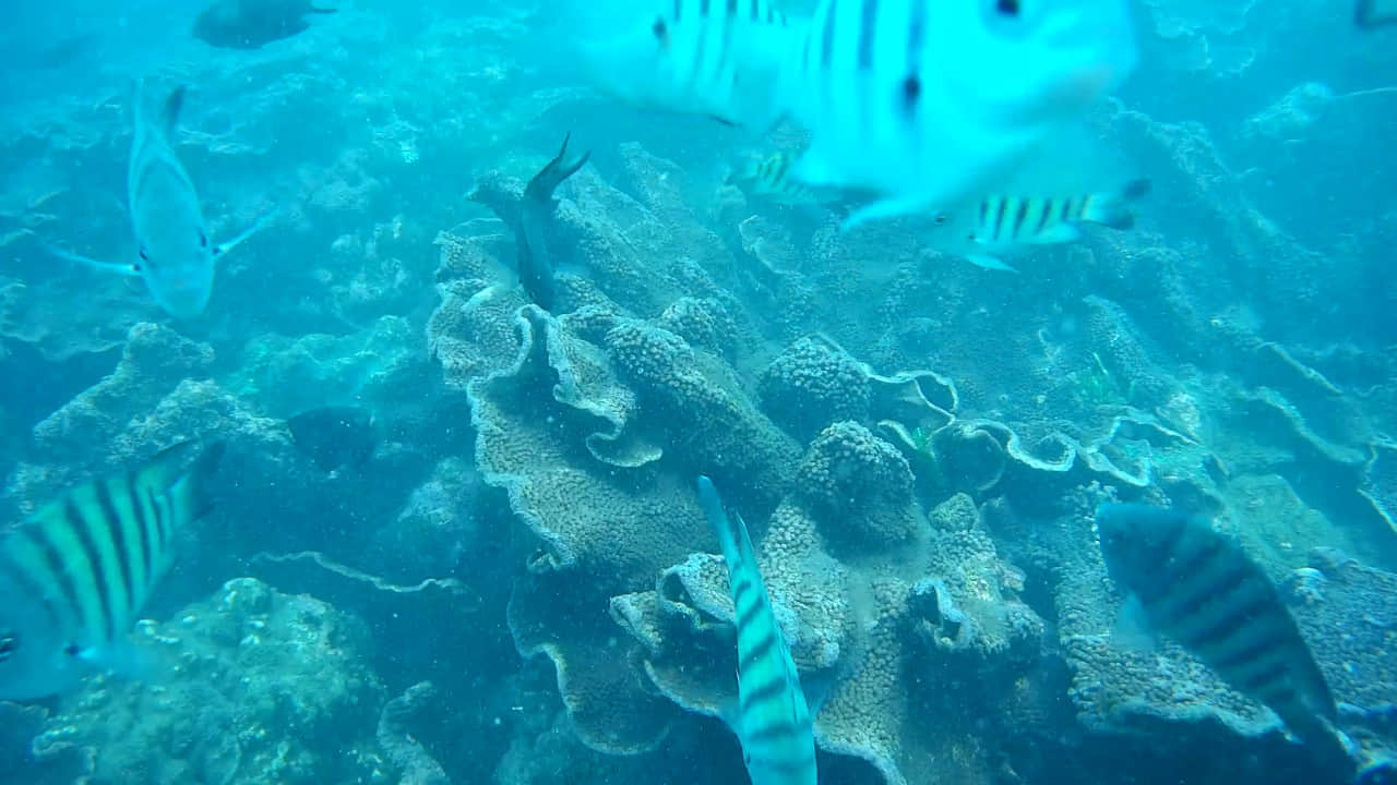Photo from Ranish ismail's trip