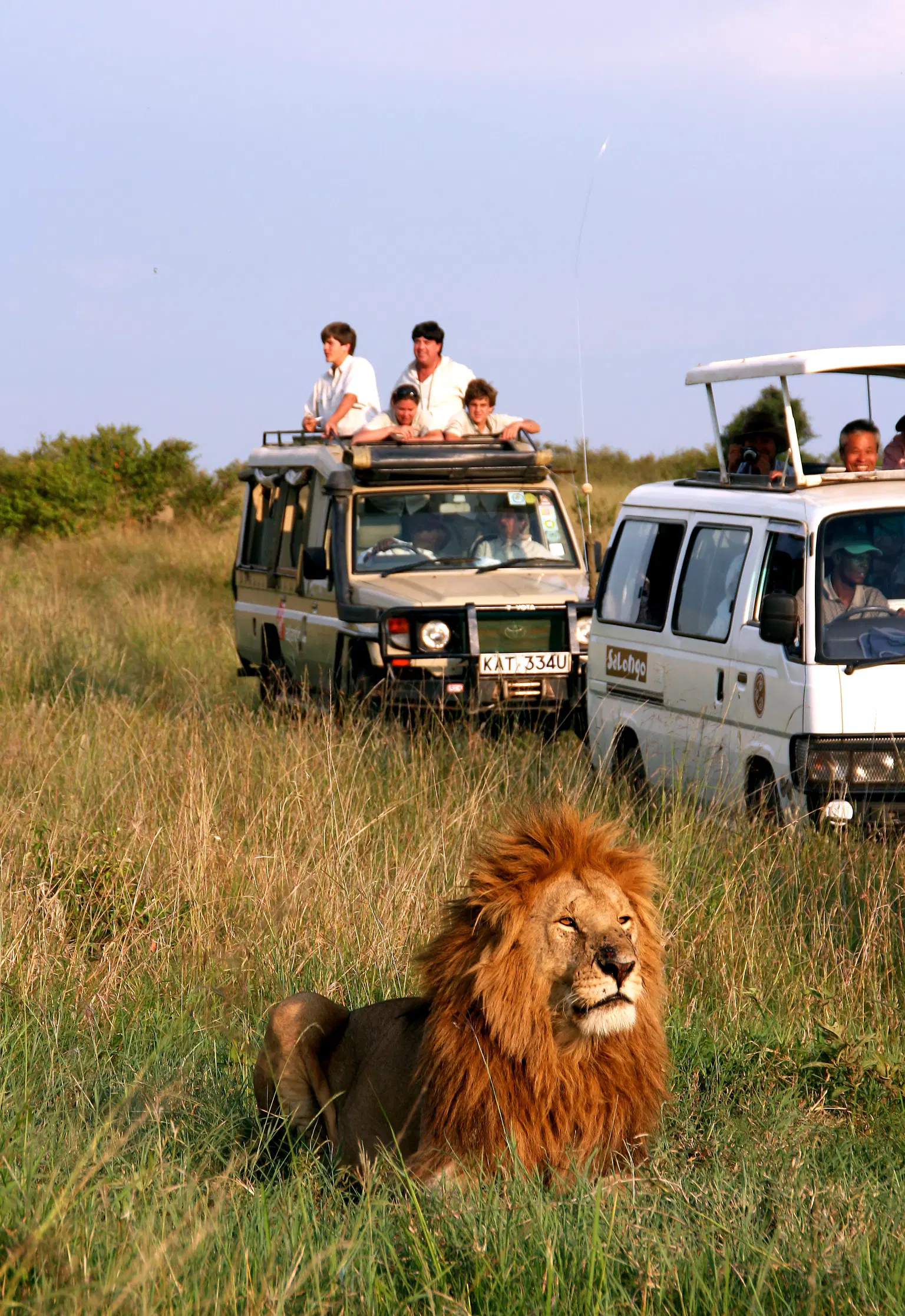 <em>Kenya</em> Tour Packages From Mysore