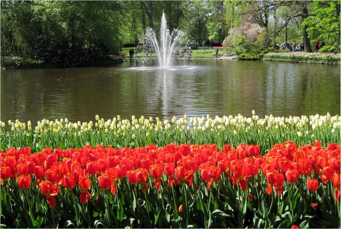 Pond in Keukenhof Gardens