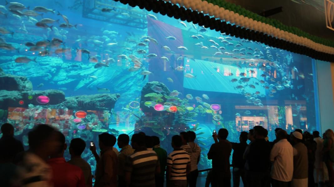 Book Dubai Aquarium And Underwater Zoo Tickets Online