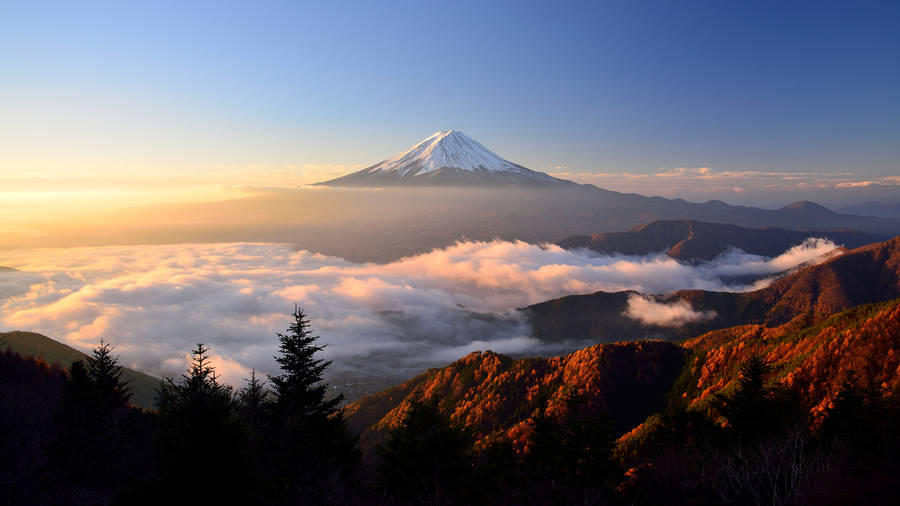 Visit Mount Fuji and embrace the fluffy clouds on your trip to Tokyo