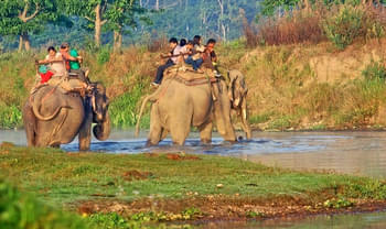 H52ejssexiiwpjjje5z8tn7iqkgs 1564730008 jungle safari chitwan.jpg.jpg