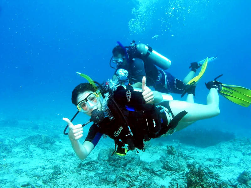 Scuba Diving In Andaman Image