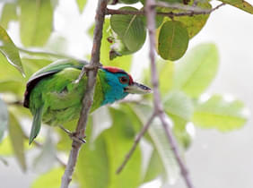 H566i4oq0c8oua2w9ajmir9ugy1r 12268787954 b8dd9be275 b