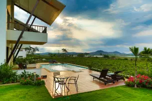 View of the vineyard from the property