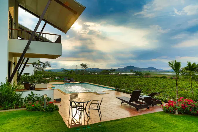 View of the vineyard from the property