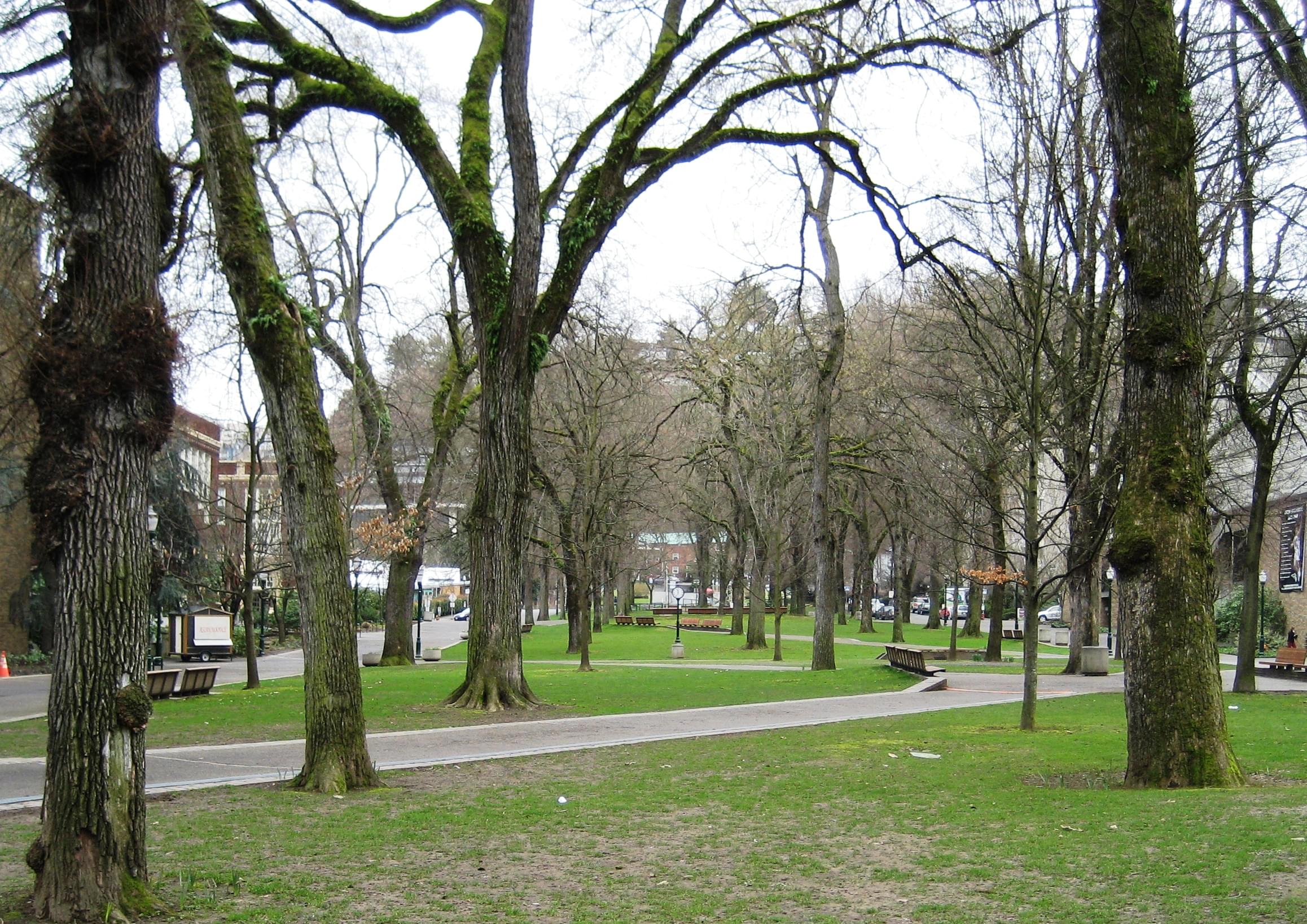 South Park Blocks, Portland Overview