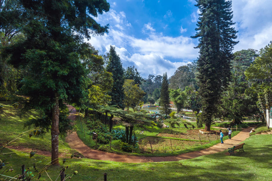Ooty Package for 4 Days Image