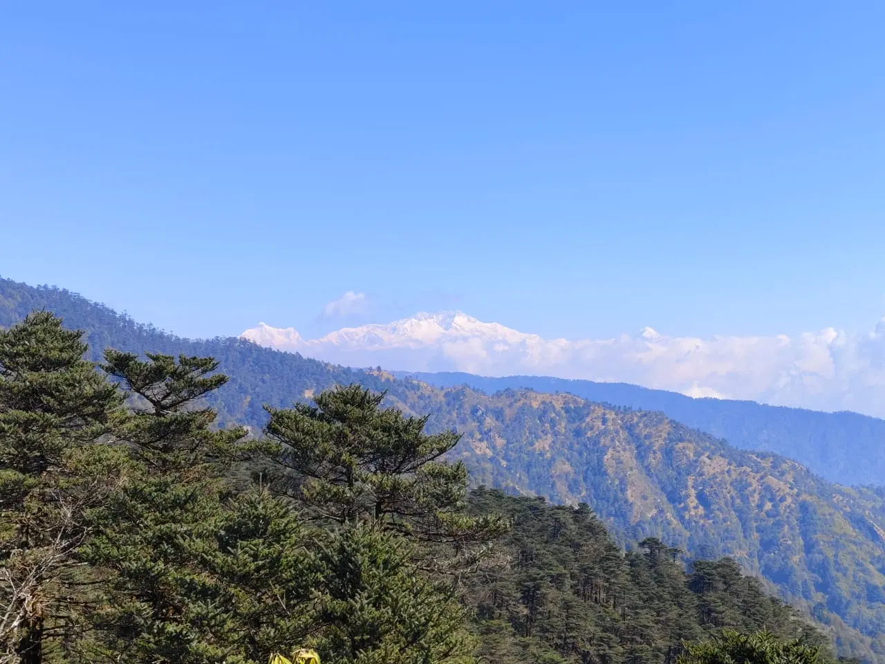 Photo from Harsh Puri's trip